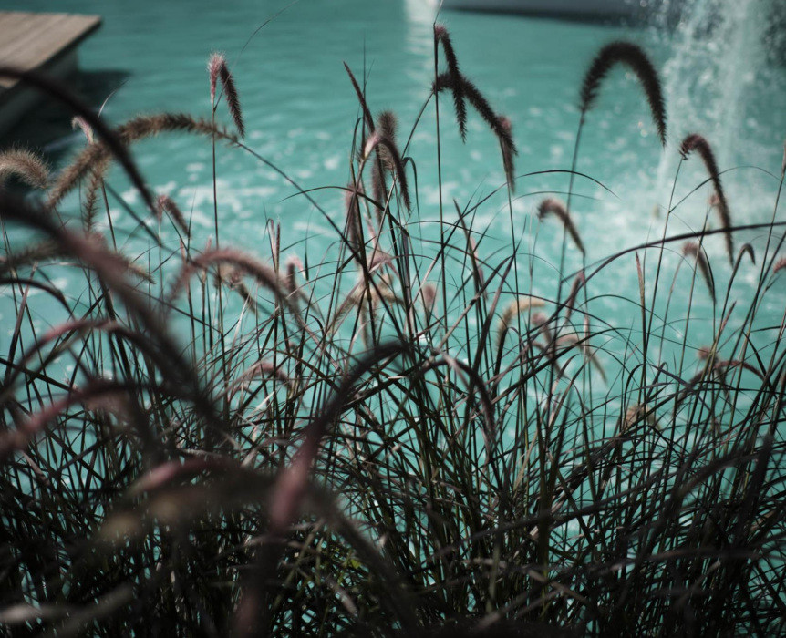 Jardines 
