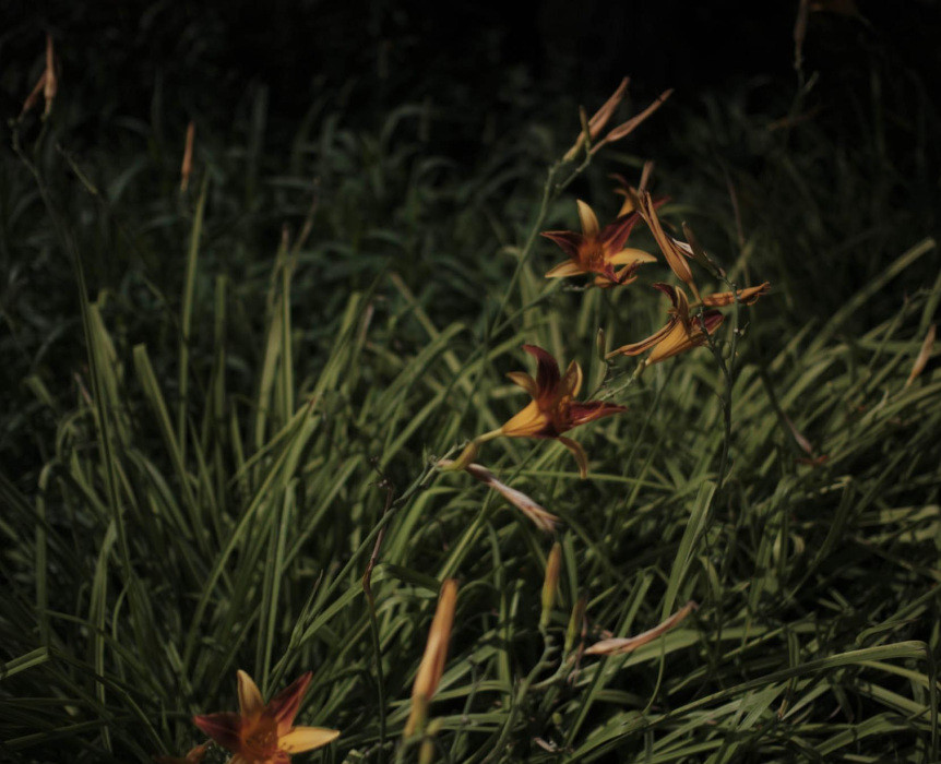Jardines 